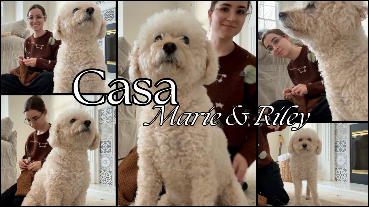 A Cozy Day in My Life | Crochet, Coffee, Dog Snuggles & Slow Living