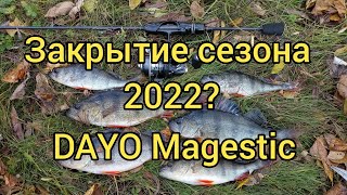 картинка: Закрытие сезона 2022? Микроджиг с DAYO Magestic 1.98