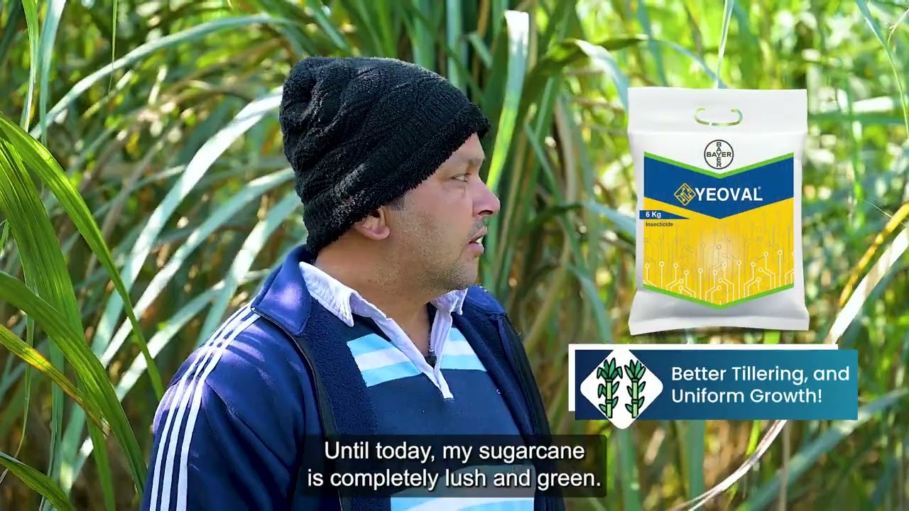 Yeoval Testimonial #farming #bayercropscience #agriculture #khetibadi #newchemistry #farmer #kisan 