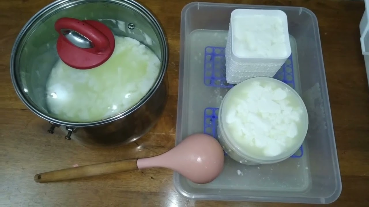 Comment préparer un fromage camembert à la maison ? #fromage #cheese #fromagemaison #camembert