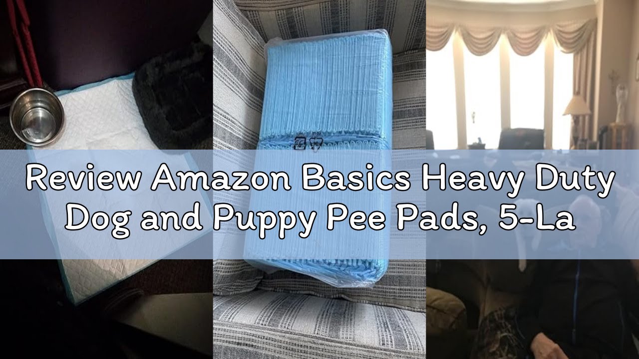 Review Amazon Basics Heavy Duty Dog and Puppy Pee Pads, 5-Layer Leak-Proof Ultra Absorbent, Quick-Dr