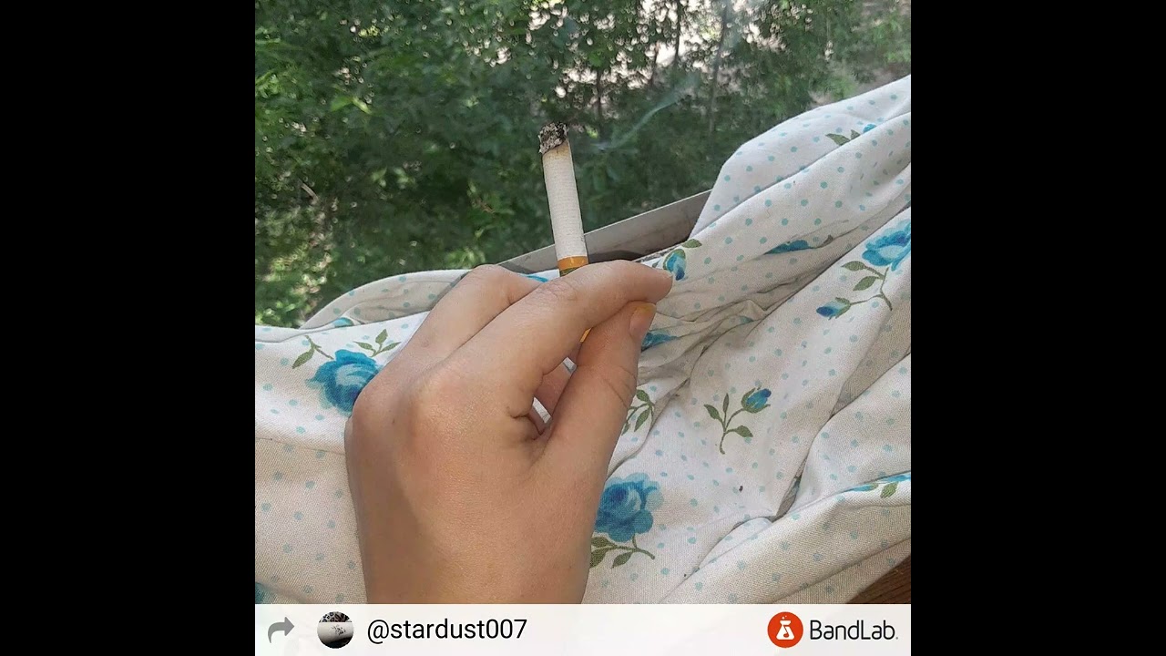 Flying higher than an airplane  by Anna Scanlon