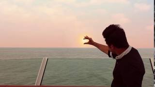 Sunset | Magic Vine # 48