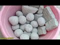 ASMR: Pure Gachi soft  Mouthwatering texture Crumbling😍😍😍🤍🤍🤍