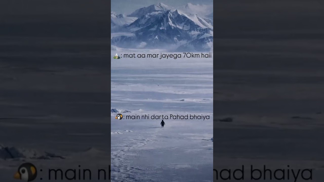 Watch PENGUIN STORY........🐧 #penguin #story #hearttouching #penguins #love #sad #sadstory #foryou #trendi on YouTube Watch PENGUIN STORY........🐧 #penguin #story #hearttouching #penguins #love #sad #sadstory #foryou #trendi on YouTube