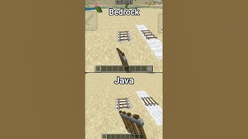 Minecraft Java vs Bedrock #shorts