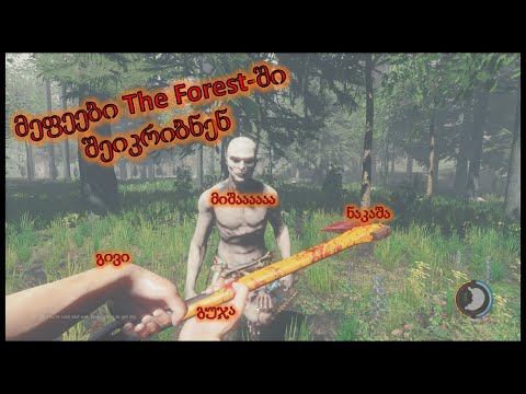 მეფეები The Forest-ში შეიკრიბნენ