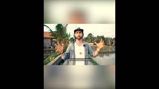 THE STORY OF THE IMAGINAL CELLS, told by Luke Kohen