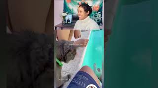 Ruko malik! Dogesh bhai ne mana kiya hai 😂🐶💦 #funnyanimals #dogesh #desicomedy #viralshortsvideo