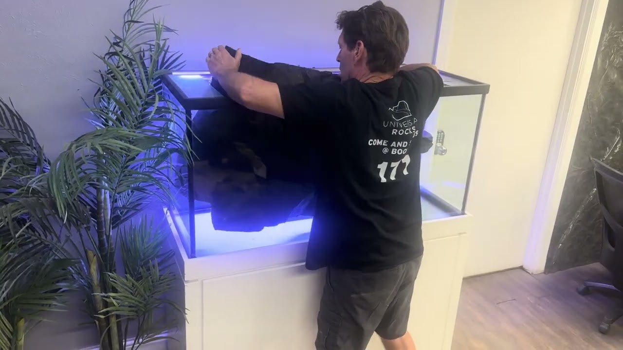 CLIFF SERIES BACKGROUND INSTALL