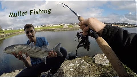 Fishing For Big Mullet! | Light Tackle, Bread, & Floats