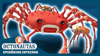 Octonautas -  🕷️ O Caranguejo-Aranha-Gigante 🦀 | Episódio inteiro 45 | Primeira Temporada