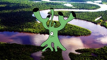 Libbroot - Amazon Island