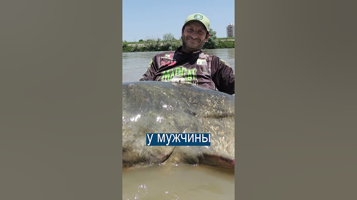 В Италии выловили ГИГАНТСКОГО СОМА - 285 см