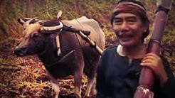 Tarling SUMPAH SUCI - Voc H Abdul Adjib (Tarling Nostalgia Dermayon Cirebonan)  - Durasi: 3:37. 