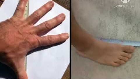 MLZS JHANSI CLASS 3 Mathematics Chapter 8 Measurement Lecture 1