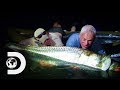 Jeremy Wages An Epic Battle With This Giant Tarpon | River Monsters