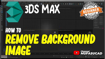 3Ds Max How To Remove Background Image