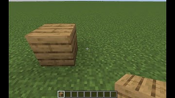 Placing 1 block every day until I make a house - Day 2