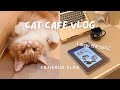 Unwinding at a Cat Cafe in Osaka, Japan | Solo Cat Cuddles &amp; Sketches!