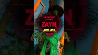 BORDERLANDS x ZAYN 👀