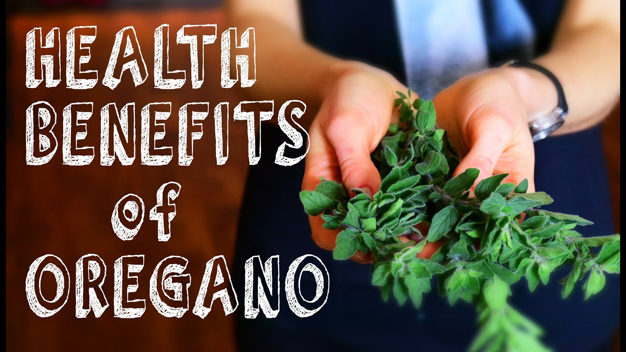 What are the benefits and uses of oregano oil?
