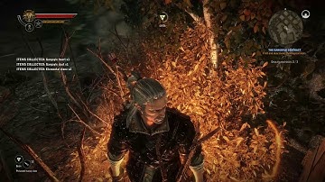 The Witcher 2 Assassin