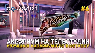 Аквариум на Телестудии. Улучшаю Аквариумную выставку - Aquarist #6