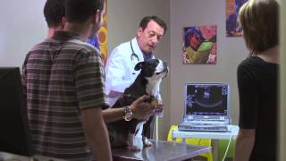 SBAC HOU 017544 closing   Broadband