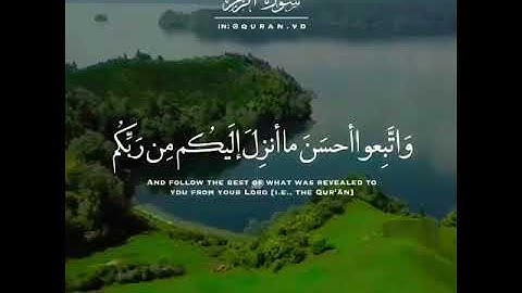 مقطع قران قصير تلاوة خاشعة مؤثرة بصوت ماهر المعيقلي