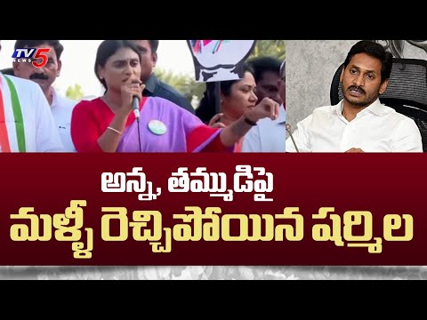 YS Sharmila Reddy Latest Comments on YS Jagan and YS Avinash Reddy | YS Viveka | TV5 News - TV5NEWS