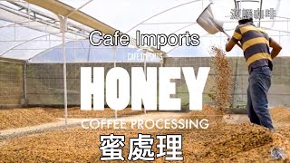 咖啡處理法#4 蜜處理法 中文字幕 Coffee Processing - Honey Process