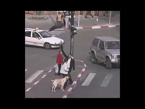 גשםמתוך- קומי קומי מצלמה נסתרתבמאי: דודו ארז עבור פוקס קידס