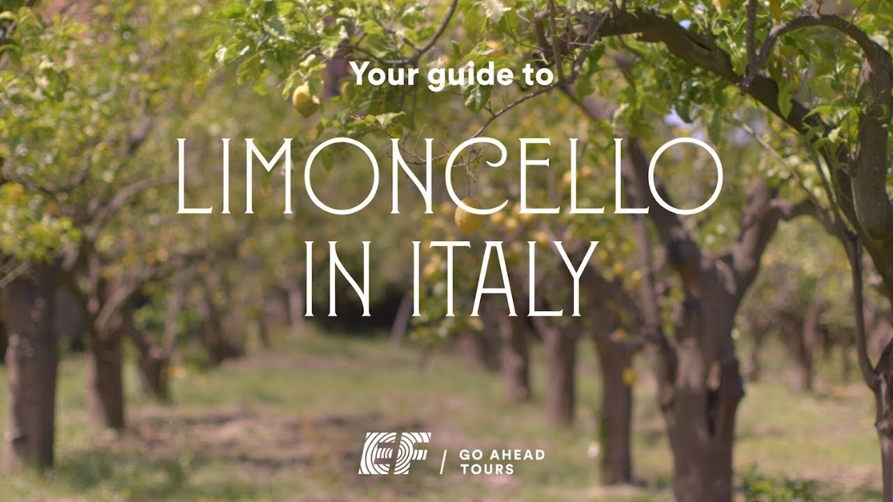 Guide to Limoncello in Italy EF Go Ahead Tours YouTube