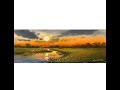 Watercolor painting landscape ( Sunset scene)