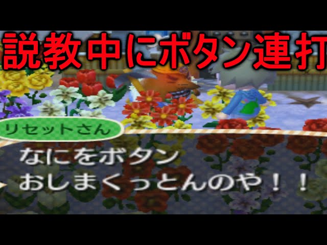 とび森】リセットさんの説教中にボタンを連打すると一番のブチギレが