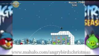 Best Angry Birds Shot EVAR!