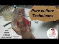 pure culture techniques practically in hindi | pour plate ,spread plate & streak plate method