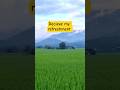 أنا أنعشك أنا أقويك mp3