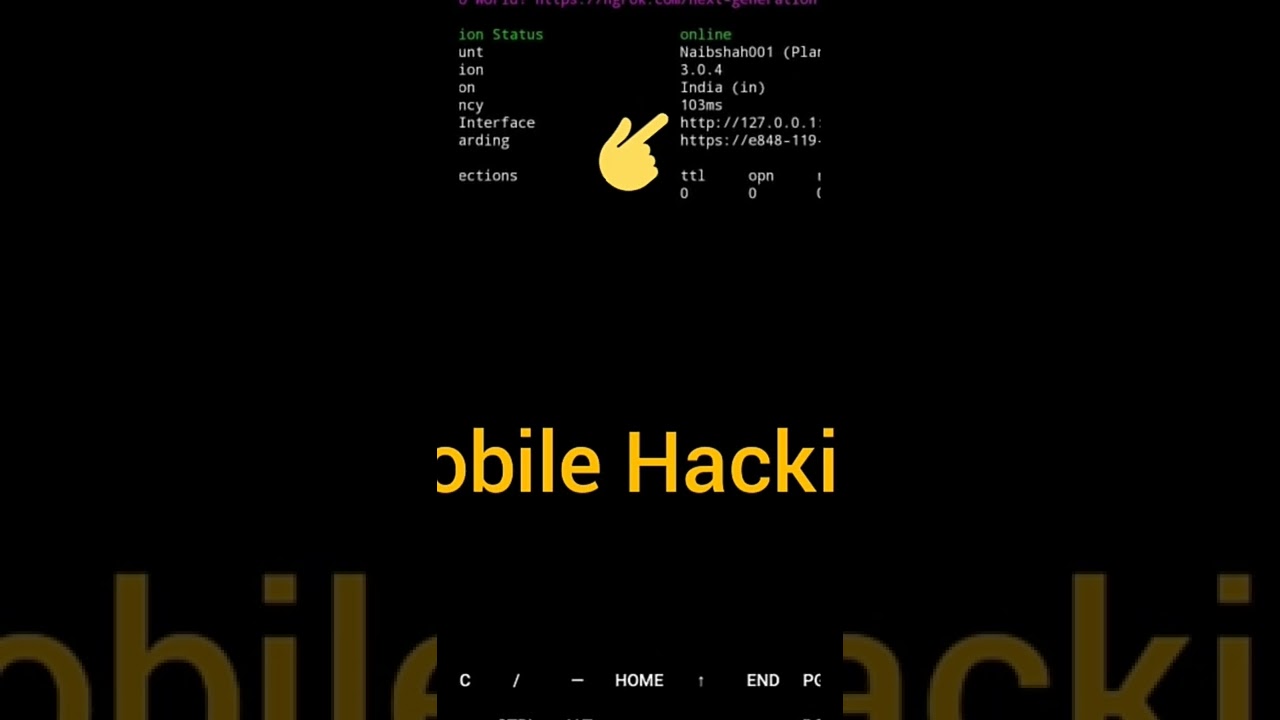 #hacking