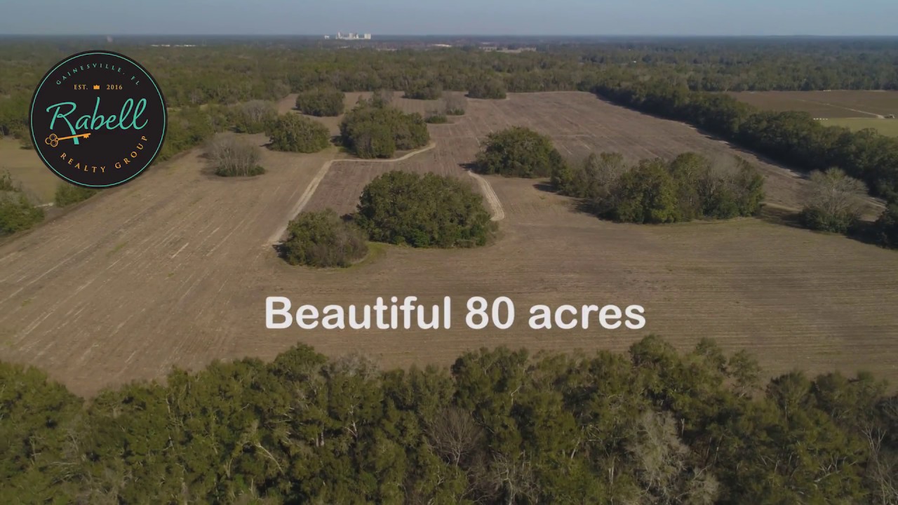 80 Acres - Newberry, Florida