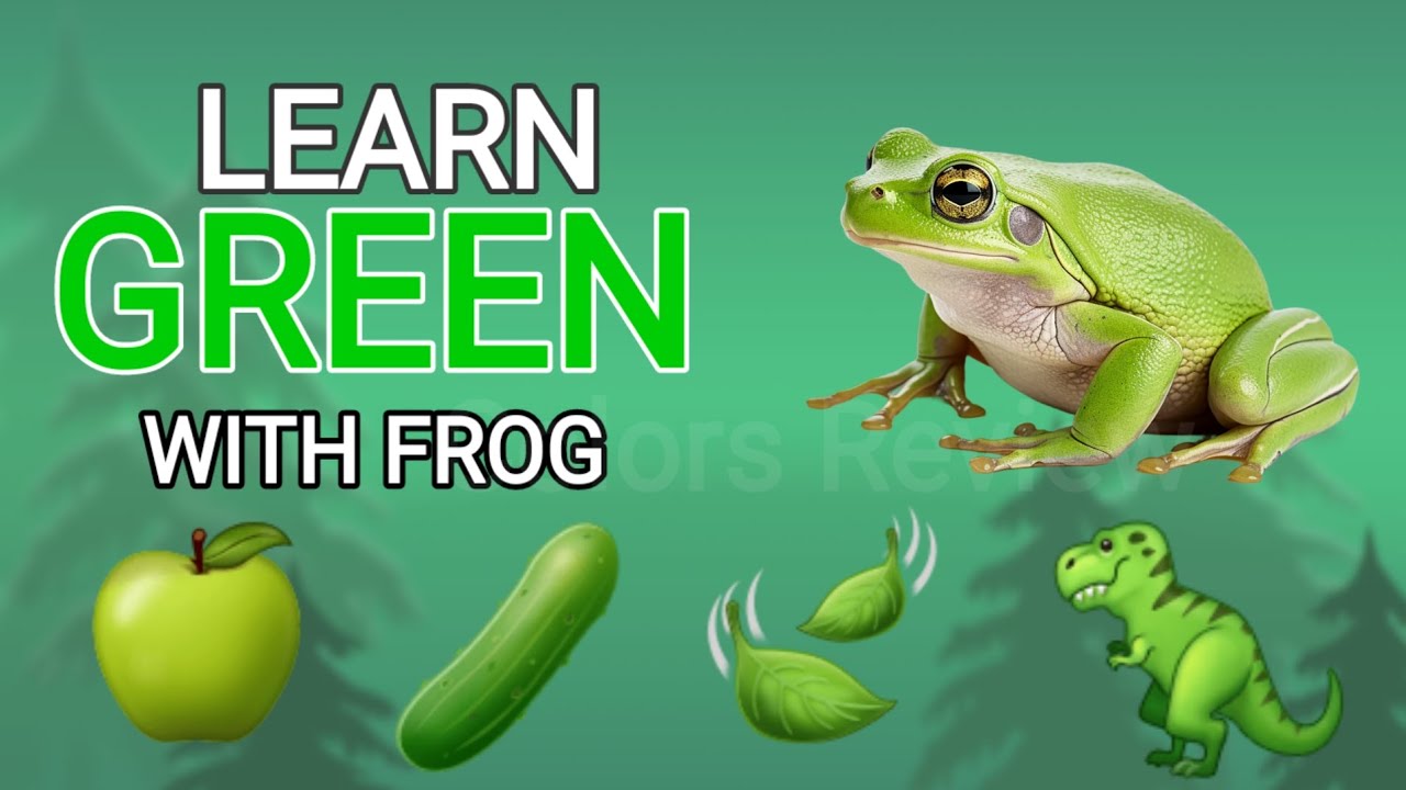Learn Green with Frog 🐸 - YouTube