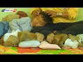 Family Monkey Kako Taking Nap Afternoon