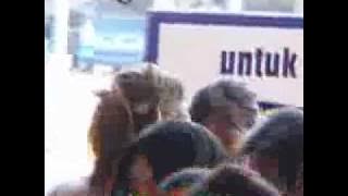 Kaka Slank Di Gugat Cerai Sang Istri Lantaran Dekat Dengan Nadine Chandrawinata?