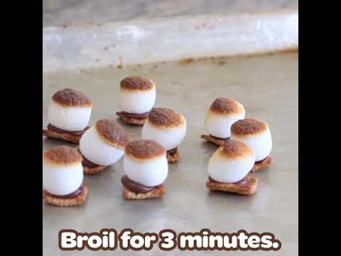S'mores!: Tiny S'mores