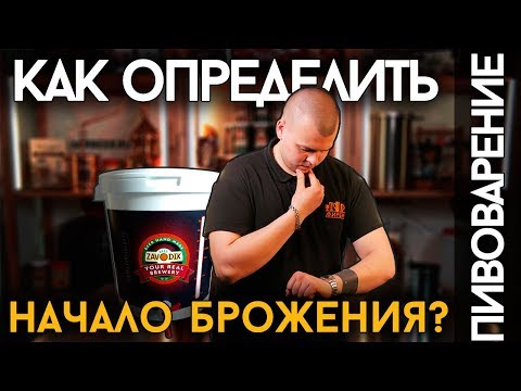 КАК ОПРЕДЕЛИТЬ НАЧАЛО БРОЖЕНИЯ | И что делать, если брожение не начинается