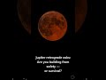 Virgo Eclipse Correction Energy | Weekly Astrology Forecast