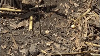 How to measure header loss
