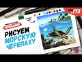 Как нарисовать морскую черепаху? / Видео-урок по рисованию маркерами #173