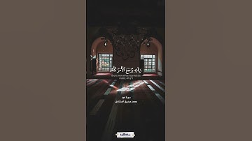 وإليه يرجع الأمر كله فاعبده وتوكل عليه | سورة هود | المنشاوي #quran